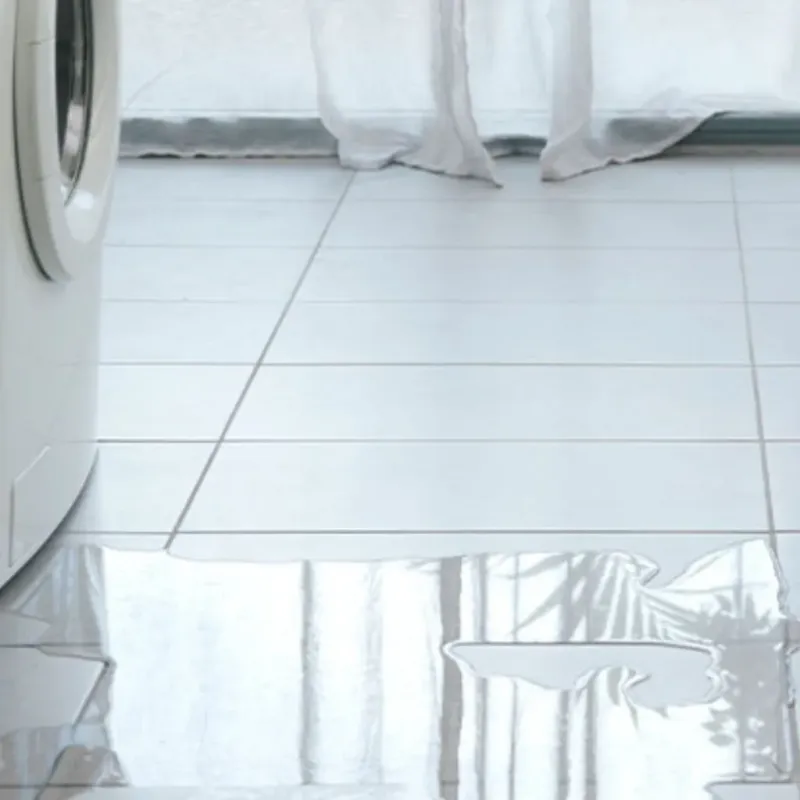 Appliance Leak Cleanup in Star City, AR