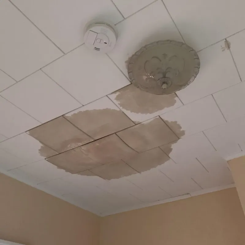 Ceiling Water Damage Repair in Star City, AR
