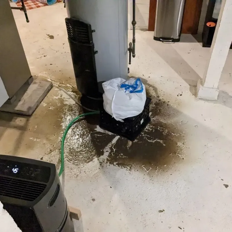 Sewage Backup Cleanup Service in Star City, AR